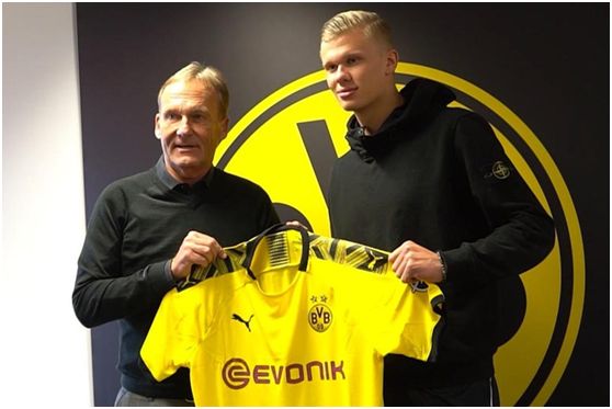 不等于情绪 不等于情绪