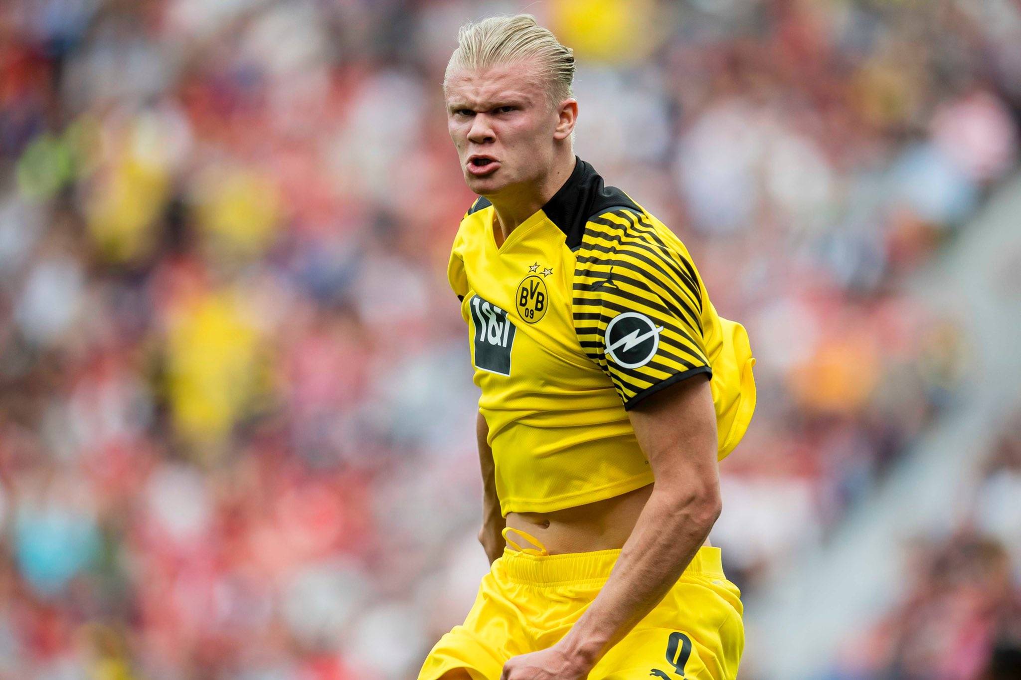 但瑕不掩瑜 但瑕不掩瑜