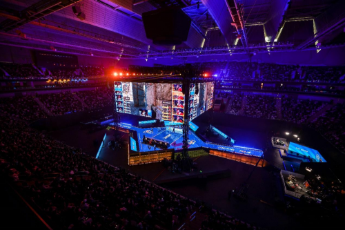 这可能是杨 这可能是杨